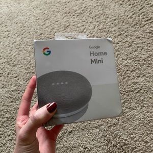 NEW Google Home Mini